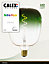 Ampoule LED à filament Kiruna vert dimmable E27 140lm 5W IP20 blanc chaud Calex ⌀.14 x H.20 cm