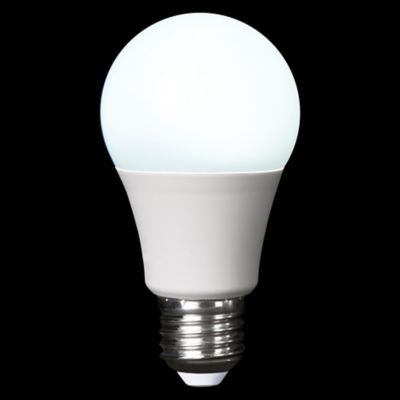 Ampoule LED A60 E27 806lm 8W = 60W Ø6cm Diall RVB et blanc chaud aux nuance blanc froid