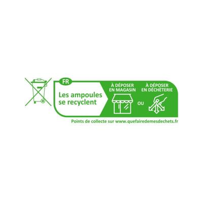 Ampoule LED B22 1W 6000K Blanc Jour Dépoli 95lm 45x68mm