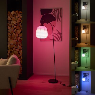 Ampoule LED connectée Myko E14 flamme 470lm=40W variation de blancs et couleurs Jacobsen blanc