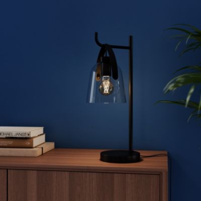 Ampoule LED connectée Myko E27 A60 standard à filament 806lm=60W variation de blancs Jacobsen ambrée
