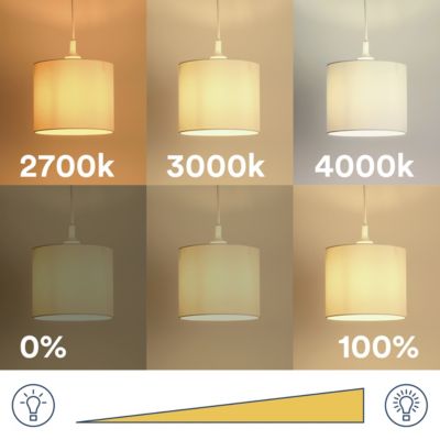 Ampoule LED connectée Myko E27 A60 standard à filament 806lm=60W variation de blancs Jacobsen ambrée