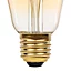 Ampoule LED connectée Myko E27 Edison à filament 806lm=60W variation de blancs Jacobsen ambrée