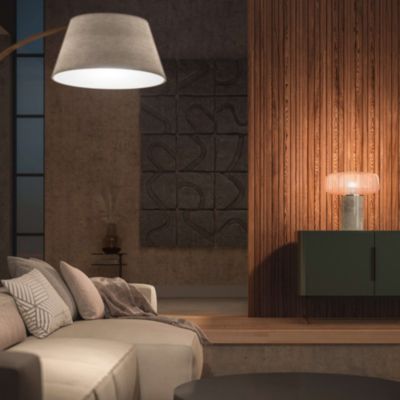 Ampoule LED connectée Philips Hue A60 IP20 E27 1055lm 9.5W 75W blanc chaud