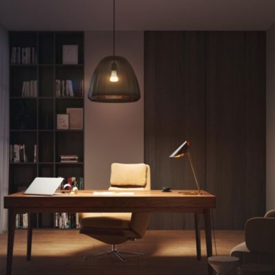 Ampoule LED connectée Philips Hue A60 IP20 E27 1600lm 15,5W blanc chaud