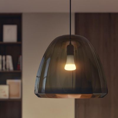 Ampoule LED connectée Philips Hue A60 IP20 E27 1600lm 15,5W blanc chaud