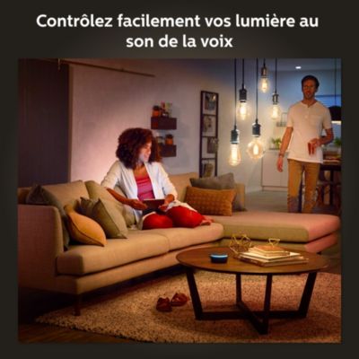 Ampoule LED connectée Philips Hue A60 IP20 E27 550lm 7W blanc