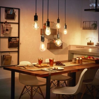 Ampoule LED connectée Philips Hue Globe G93 E27 IP20 580lm 7,2W blanc doux