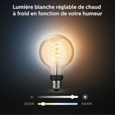 Ampoule LED connectée Philips Hue globe IP20 E27 550lm 7W blanc
