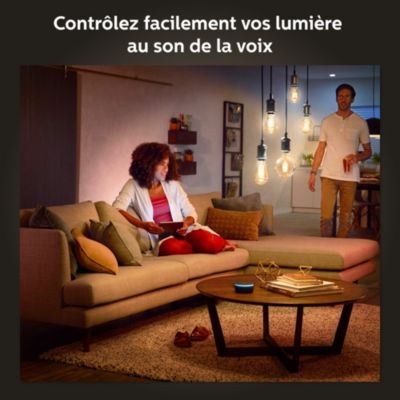 Ampoule LED connectée Philips Hue globe IP20 E27 550lm 7W blanc