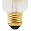 Ampoule LED décorative Diall ballon E27 5W=40W blanc chaud