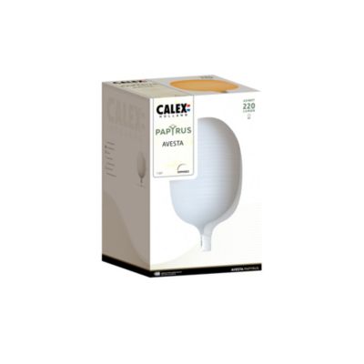Ampoule LED décorative E27 globe Ø17cm 220lm blanc extra chaud dimmable 4W Calex