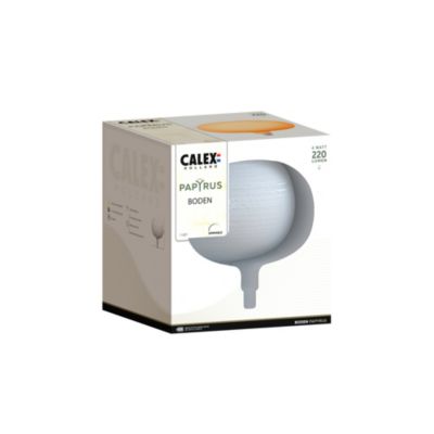 Ampoule LED décorative E27 globe Ø22cm 220lm blanc extra chaud dimmable 4W Calex