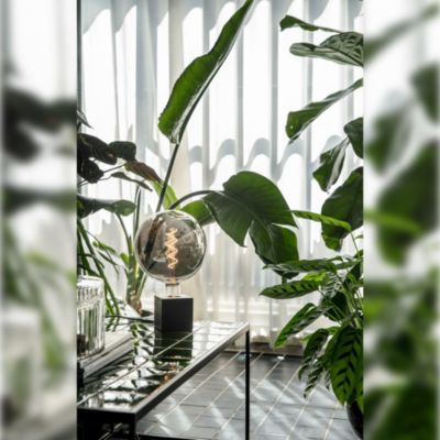 Ampoule LED décorative XXL Kalmar verre gris titane dimmable E27 5W 70lm Calex