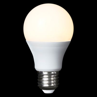 Ampoule LED globe E27 806lm 9W = 60W Ø10cm Diall RVB et blanc chaud aux  nuance blanc froid