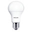 Ampoule LED E27 13W=100W blanc chaud