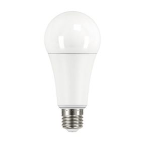 Ampoule LED E27 19W A67 - Blanc du Jour 6500K