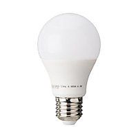 Ampoule LED E27 5,8W=40W blanc froid