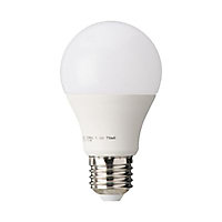 Ampoule LED E27 9W=60W blanc froid