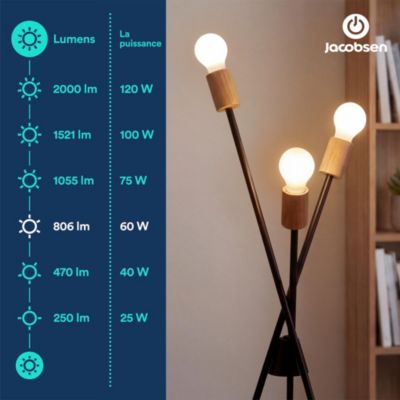 Ampoule LED E27 A60 dépoli 806 lm blanc chaud 3,8W grade A Jacobsen
