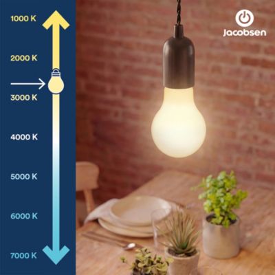 Ampoule LED E27 A60 dépoli 806 lm blanc chaud 3,8W grade A Jacobsen