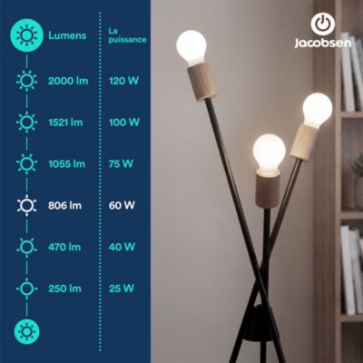 Ampoule LED E27 A60 dépoli filament 806 lm blanc neutre 3,8W grade A Jacobsen