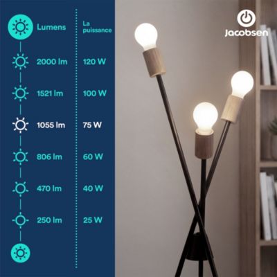 Ampoule LED E27 dépoli filament 1055 lm blanc neutre 5W grade A Jacobse
