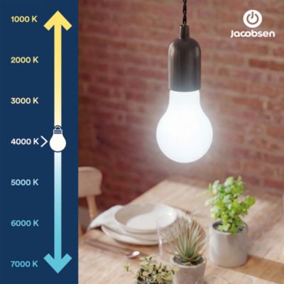 Ampoule LED E27 dépoli filament 1055 lm blanc neutre 5W grade A Jacobse