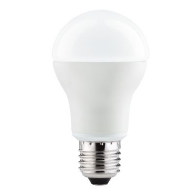 Ampoule LED E27 Globe 11W=60W Blanc froid Castorama