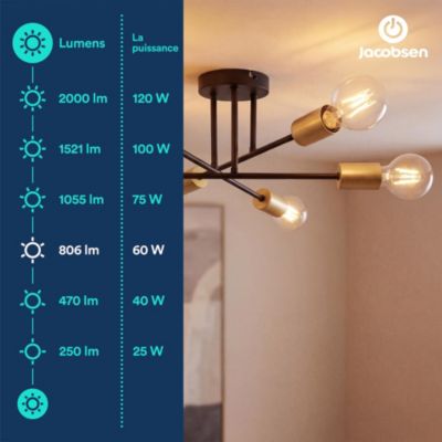 Ampoule LED E27 globe filament transparent 806 lm blanc chaud 3,8W grade A Jacobsen