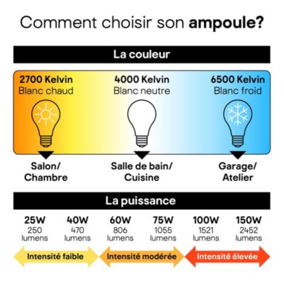 Ampoule LED E27 globe filament transparent 806 lm blanc chaud 3,8W grade A Jacobsen