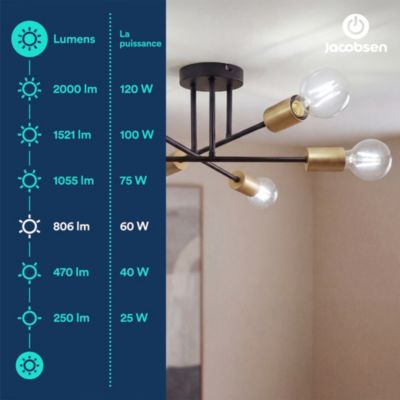 Ampoule LED E27 globe filament transparent 806 lm blanc neutre 3,8W grade A Jacobsen