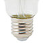 Ampoule LED à filament Diall globe argent E27 5W=40W blanc chaud