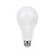 Ampoule LED GLS E27 2452lm 20W = 150W Ø7cm Diall blanc chaud