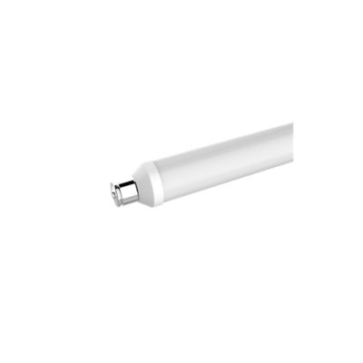 Ampoule LED Tube S15s 280lm 2.5W Ø2.7cm Diall blanc chaud