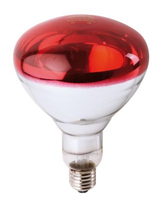 Ampoule PHILIPS IR à vis rouge 250W