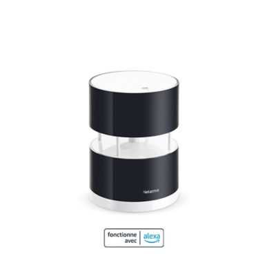 Anémomètre Intelligent pour Station Météo Intelligente Netatmo