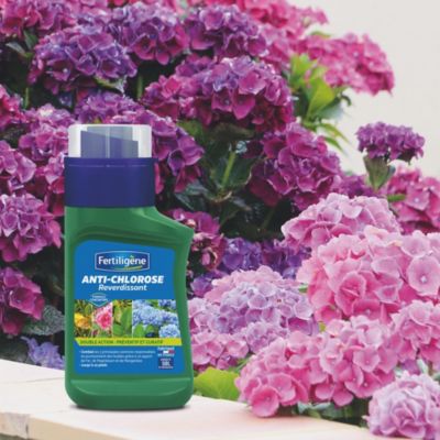 Anti chlorose liquide Fertiligène 250ml