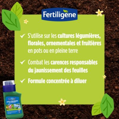 Anti chlorose liquide Fertiligène 250ml