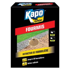 Anti fourmis Kapo choc 250g