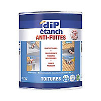 Anti-fuites toiture DIP Gris 0,75L