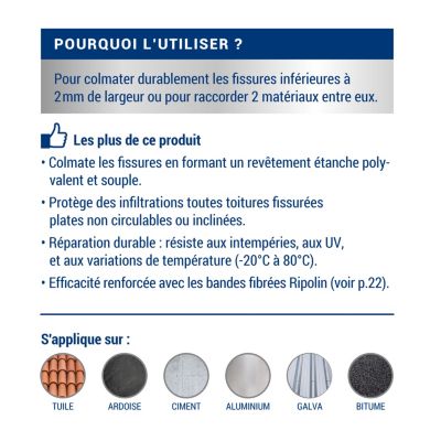 Anti-infiltration toiture Ripolin gris ciment 4L