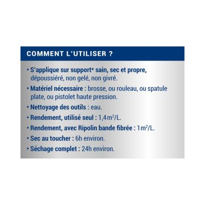 Anti-infiltration toiture Ripolin gris ciment 4L