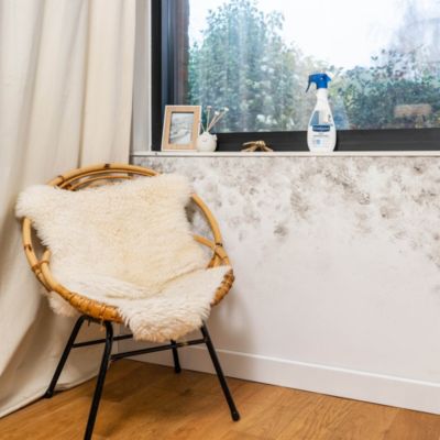 Anti-moisissures murs et pièces à vivre Starwax 500ml
