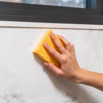 Anti-moisissures murs et pièces à vivre Starwax 500ml