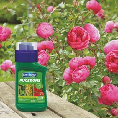 Anti pucerons noirs et verts Fertiligène 250ml