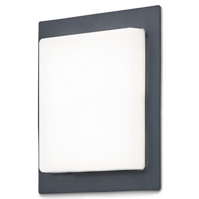 Applique extérieure LED Blooma Lutak anthracite IP44