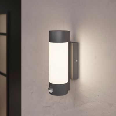 Applique murale à détection Callisto 800lm 14W IP44 GoodHome gris anthracite