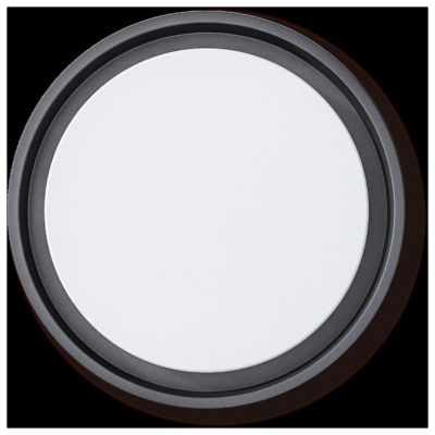 Applique murale extérieure LED 'Mio' D: 27 cm en métal anthracite et plastique, IP54 pour entrée, balcon, terrasse