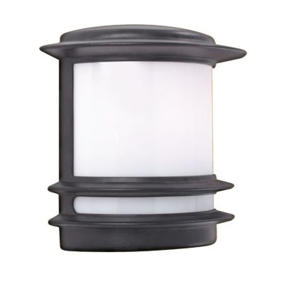 Applique murale exterieur, 1 lumiere, acier inoxydable, noir,